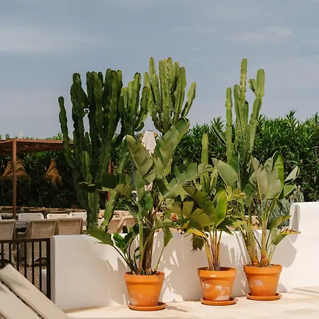 Tres Torres Hotel 4*